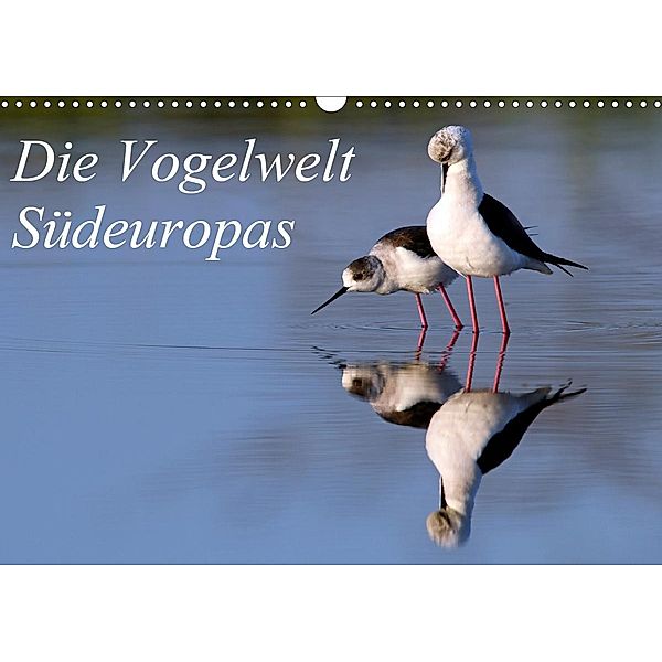 Die Vogelwelt Südeuropas (Wandkalender 2020 DIN A3 quer), Benny Trapp