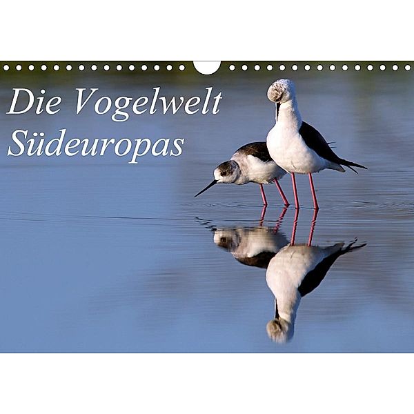 Die Vogelwelt Südeuropas (Wandkalender 2021 DIN A4 quer), Benny Trapp