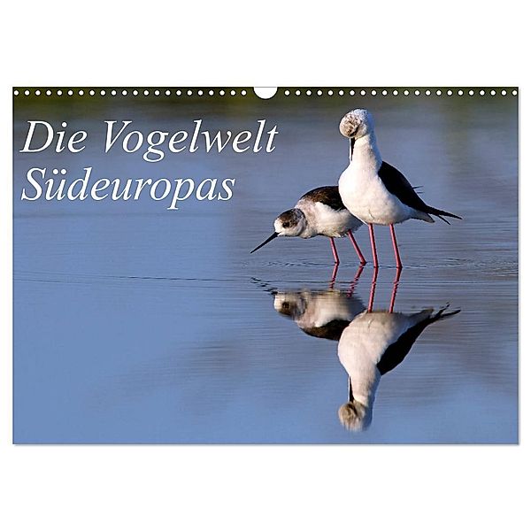 Die Vogelwelt Südeuropas (Wandkalender 2024 DIN A3 quer), CALVENDO Monatskalender, Benny Trapp