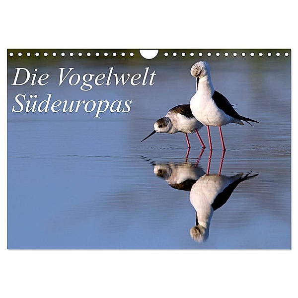 Die Vogelwelt Südeuropas (Wandkalender 2024 DIN A4 quer), CALVENDO Monatskalender, Benny Trapp