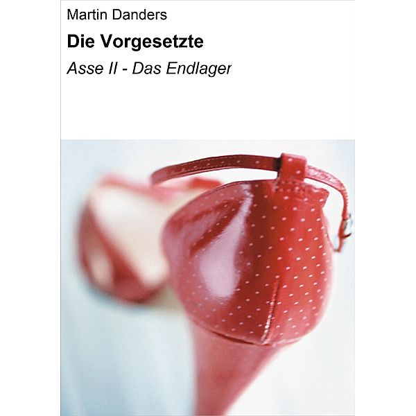 Die Vorgesetzte, Martin Danders