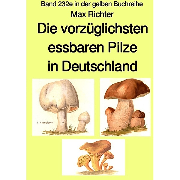 Die vorzüglichsten essbaren Pilze in Deutschland  -  Band 232e in der gelben Buchreihe -  Farbe - bei Jürgen Ruszkowski, Max Richter