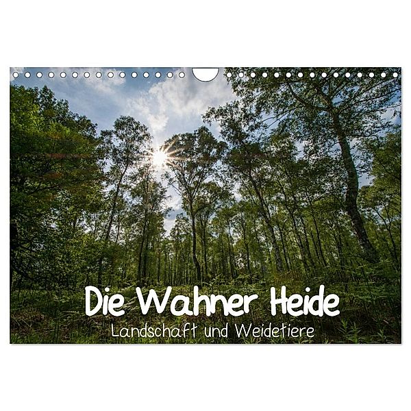 Die Wahner Heide - Landschaft und Weidetiere (Wandkalender 2024 DIN A4 quer), CALVENDO Monatskalender, Doro Peeh