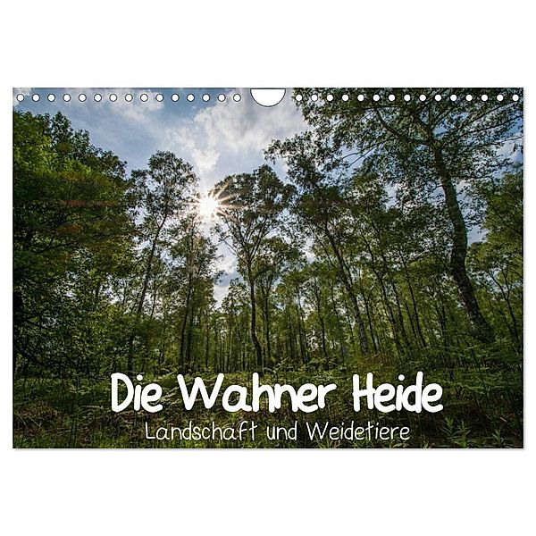 Die Wahner Heide - Landschaft und Weidetiere (Wandkalender 2025 DIN A4 quer), CALVENDO Monatskalender, Calvendo, Doro Peeh