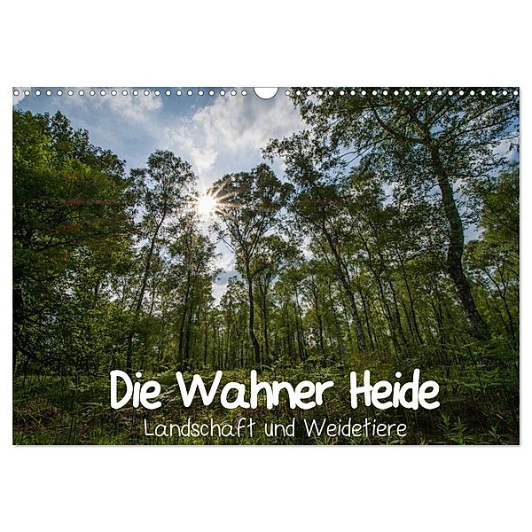 Die Wahner Heide - Landschaft und Weidetiere (Wandkalender 2025 DIN A3 quer), CALVENDO Monatskalender, Calvendo, Doro Peeh