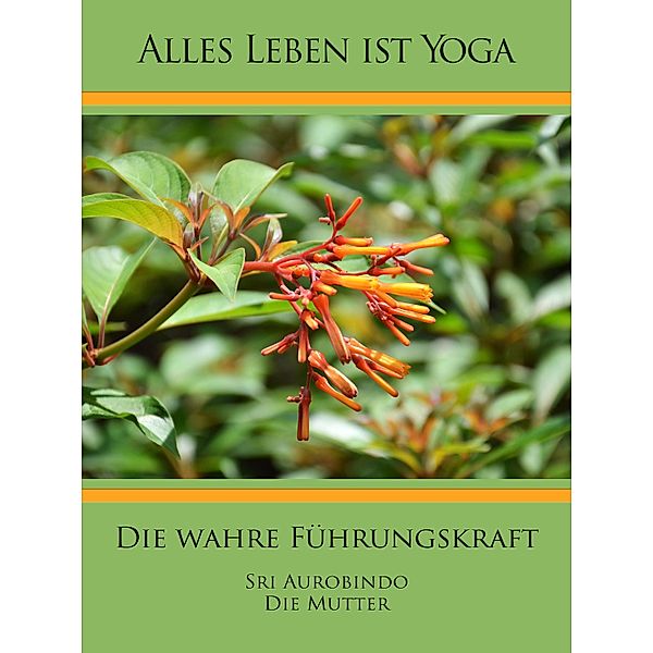 Die wahre Führungskraft, Sri Aurobindo, Die (D. I. Mira Alfassa) Mutter