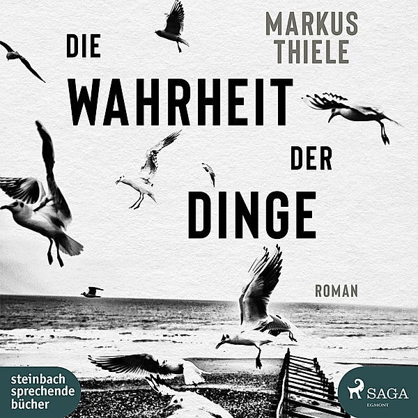 Die Wahrheit der Dinge,1 Audio-CD,, Markus Thiele