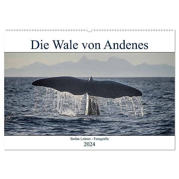 Die Wale von Andenes (Wandkalender 2024 DIN A2 quer), CALVENDO Monatskalender, Stefan Leimer