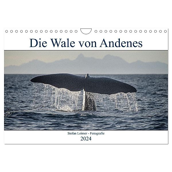 Die Wale von Andenes (Wandkalender 2024 DIN A4 quer), CALVENDO Monatskalender, Stefan Leimer