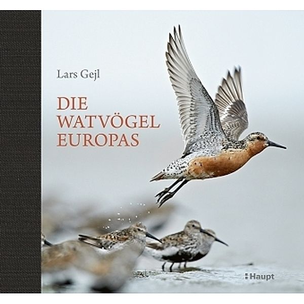 Die Watvögel Europas, Lars Gejl