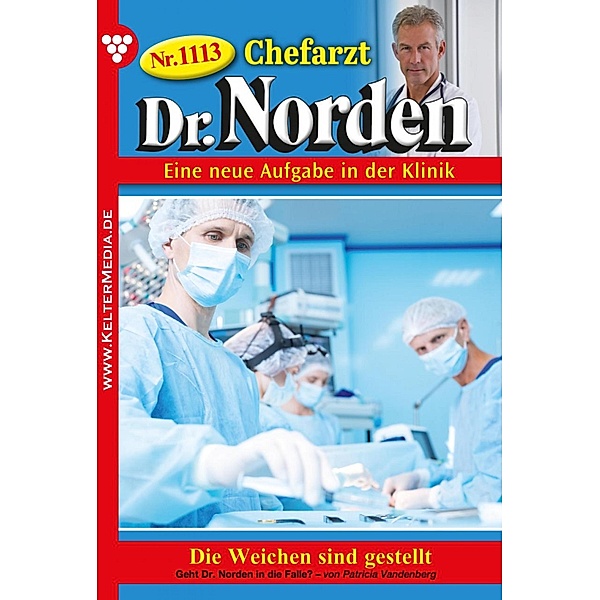 Die Weichen sind gestellt / Chefarzt Dr. Norden Bd.1113, Patricia Vandenberg