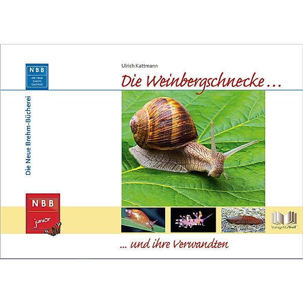 Die Weinbergschnecke und ihre Verwandten, Ulrich Kattmann