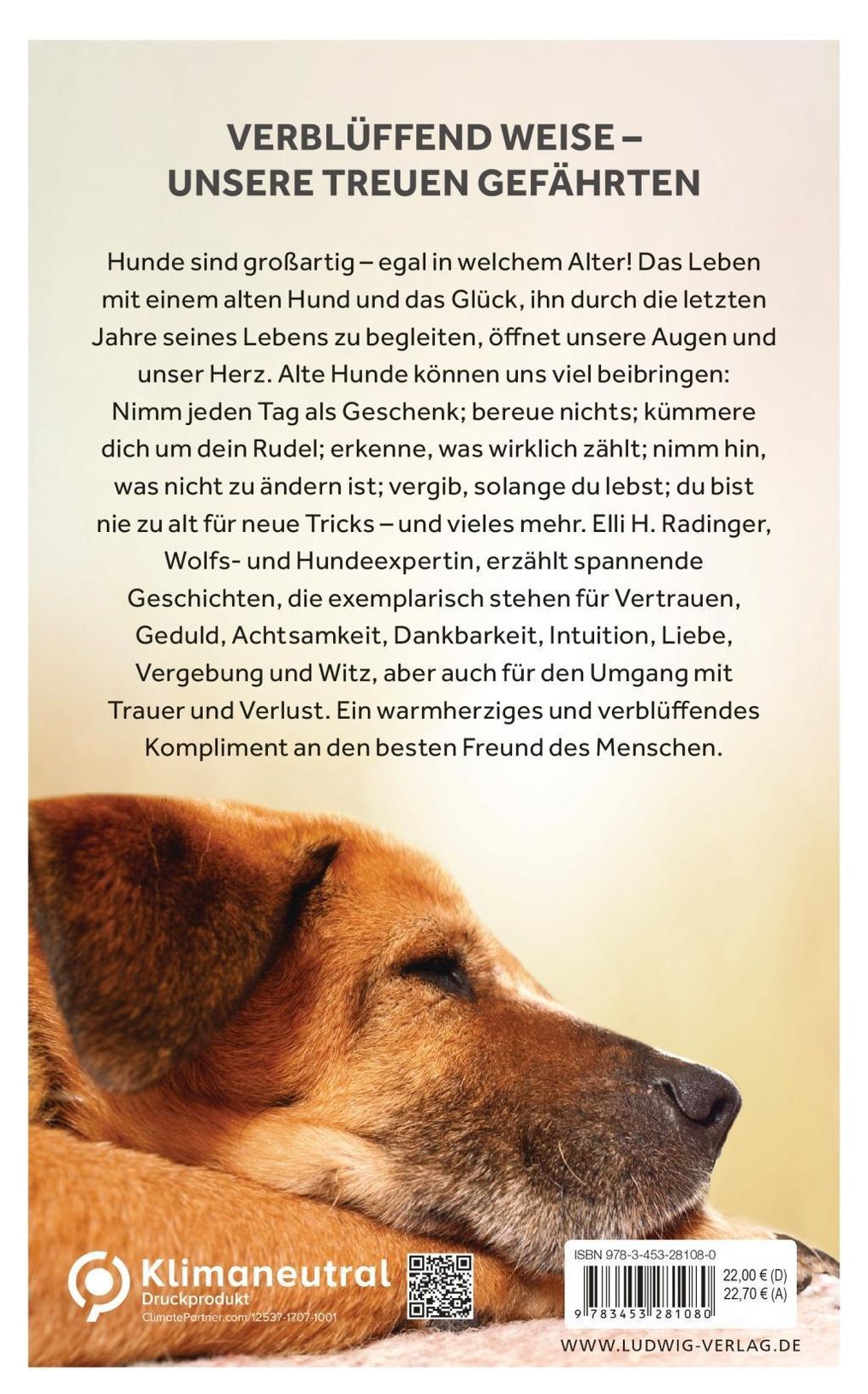 Die Weisheit alter Hunde Buch versandkostenfrei bei Weltbild.de bestellen
