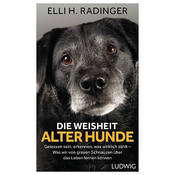 Die Weisheit alter Hunde, Elli H. Radinger