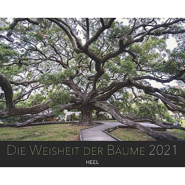 Die Weisheit der Bäume 2021, Diane Cook, Len Jenshel