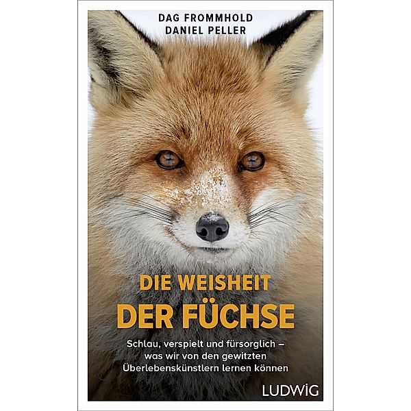 Die Weisheit der Füchse, Dag Frommhold, Daniel Peller