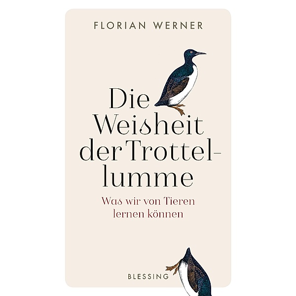Die Weisheit der Trottellumme, Florian Werner