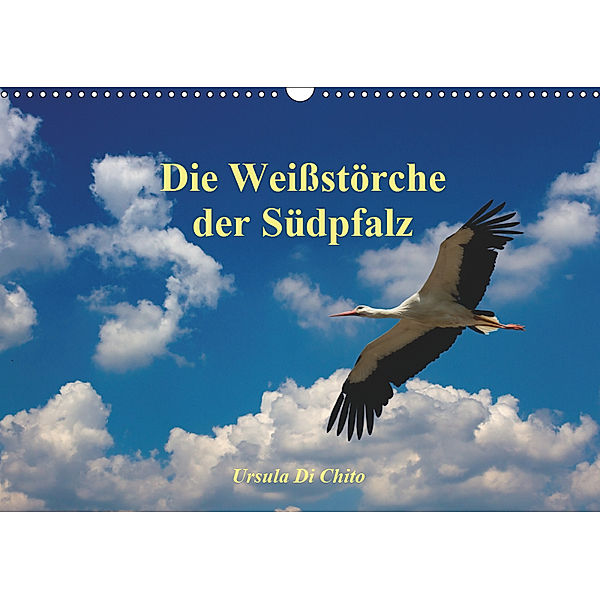 Die Weißstörche der Südpfalz (Wandkalender 2019 DIN A3 quer), Ursula Di Chito