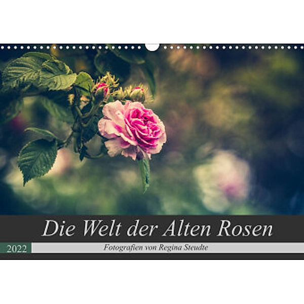 Die Welt der Alten Rosen (Wandkalender 2022 DIN A3 quer), Regina Steudte