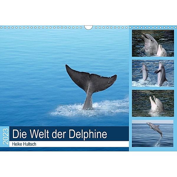 Die Welt der Delphine (Wandkalender 2023 DIN A3 quer), Heike Hultsch