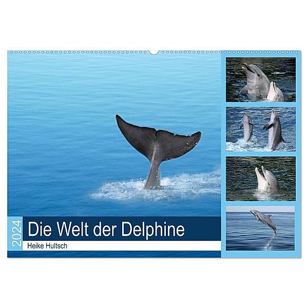 Die Welt der Delphine (Wandkalender 2024 DIN A2 quer), CALVENDO Monatskalender, Heike Hultsch