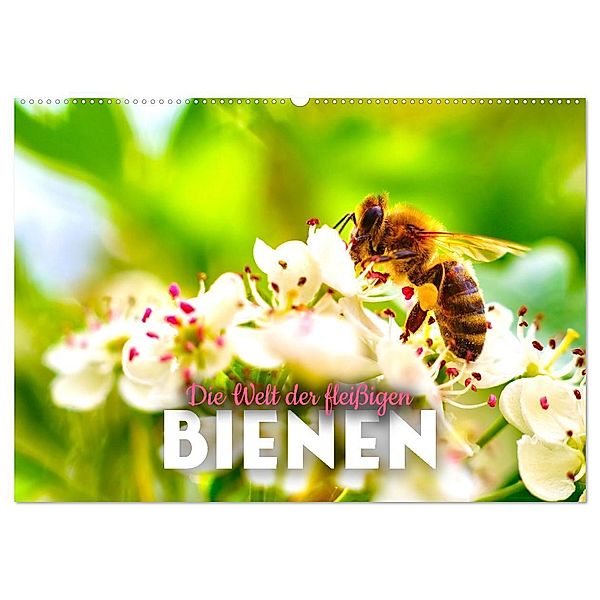 Die Welt der fleißigen Bienen (Wandkalender 2024 DIN A2 quer), CALVENDO Monatskalender, Happy Monkey