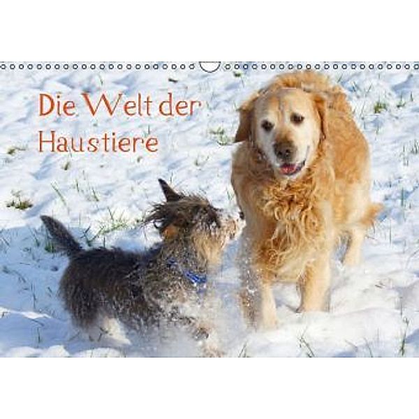 Die Welt der Haustiere (Wandkalender 2016 DIN A3 quer), Kattobello