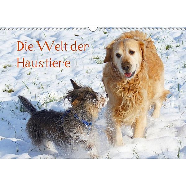 Die Welt der Haustiere (Wandkalender 2021 DIN A3 quer), Kattobello