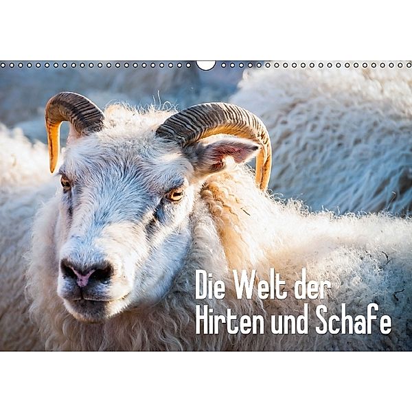 Die Welt der Hirten und Schafe (Wandkalender 2014 DIN A3 quer)