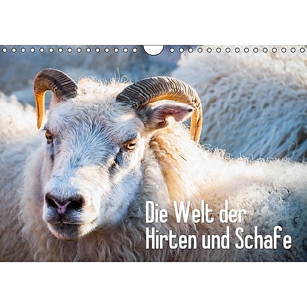 Die Welt der Hirten und Schafe (Wandkalender 2014 DIN A4 quer)