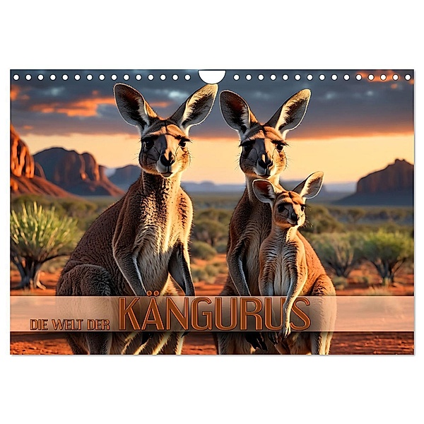 Die Welt der Kängurus (Wandkalender 2024 DIN A4 quer), CALVENDO Monatskalender, Calvendo, Renate Utz