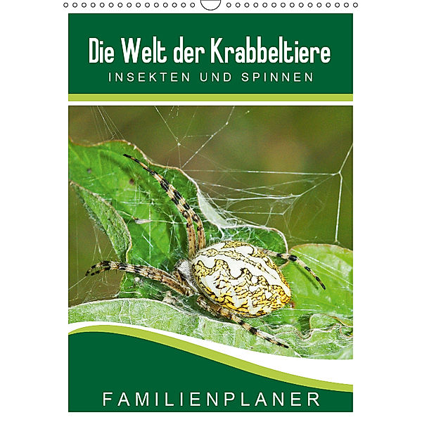 Die Welt der Krabbeltiere: Insekten und Spinnen / Familienplaner (Wandkalender 2019 DIN A3 hoch), Karl-Hermann Althaus