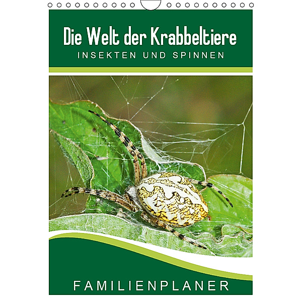 Die Welt der Krabbeltiere: Insekten und Spinnen / Familienplaner (Wandkalender 2019 DIN A4 hoch), Karl-Hermann Althaus