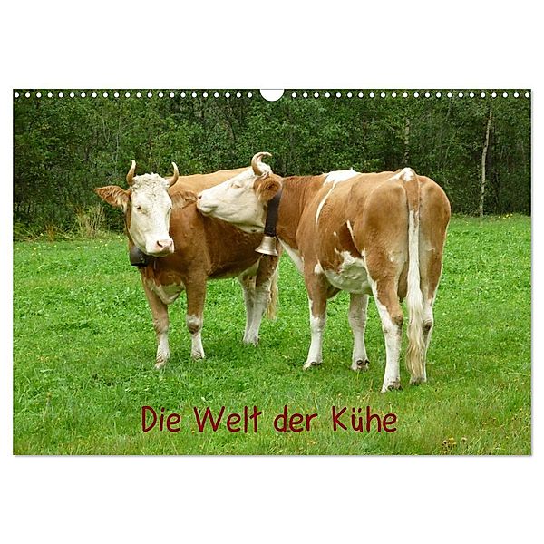 Die Welt der Kühe (Wandkalender 2024 DIN A3 quer), CALVENDO Monatskalender, Kattobello