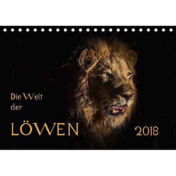 Die Welt der Löwen (Tischkalender 2018 DIN A5 quer), Barbara Bethke