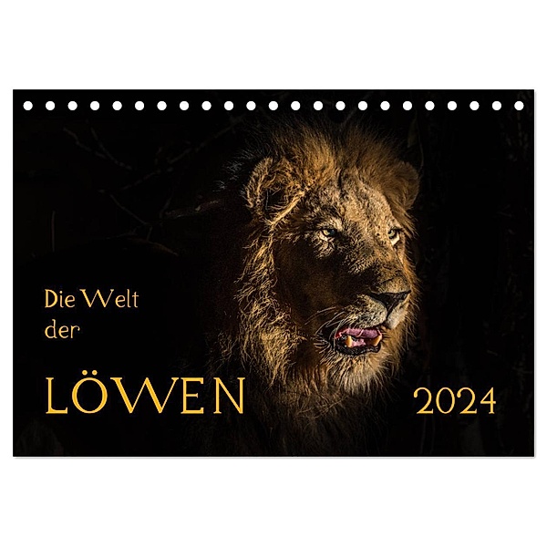 Die Welt der Löwen (Tischkalender 2024 DIN A5 quer), CALVENDO Monatskalender, Barbara Bethke