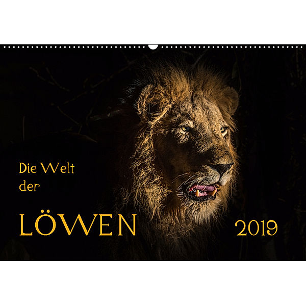 Die Welt der Löwen (Wandkalender 2019 DIN A2 quer), Barbara Bethke