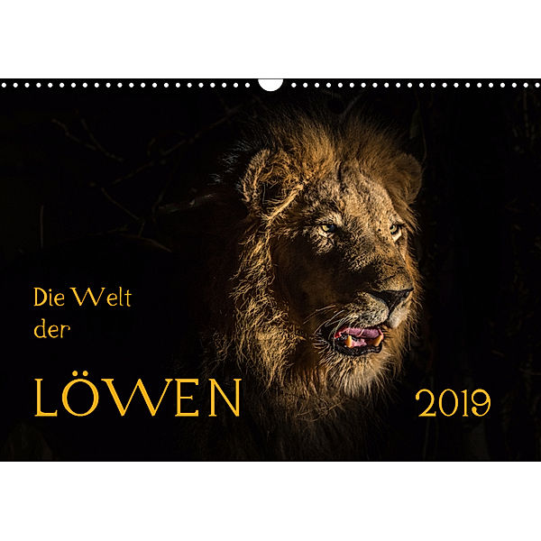 Die Welt der Löwen (Wandkalender 2019 DIN A3 quer), Barbara Bethke