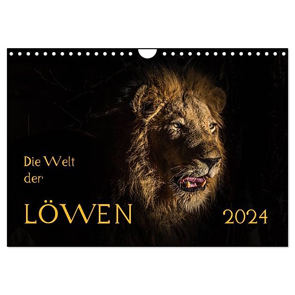 Die Welt der Löwen (Wandkalender 2024 DIN A4 quer), CALVENDO Monatskalender, Barbara Bethke