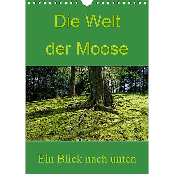 Die Welt der Moose. Ein Blick nach unten (Wandkalender 2021 DIN A4 hoch), Dominik Lewald