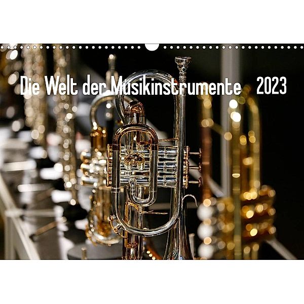 Die Welt der Musikinstrumente (Wandkalender 2023 DIN A3 quer), Petrus Bodenstaff