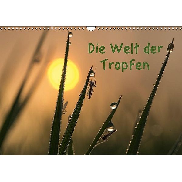 Die Welt der Tropfen / CH-Version (Wandkalender 2017 DIN A3 quer), Andrea Potratz