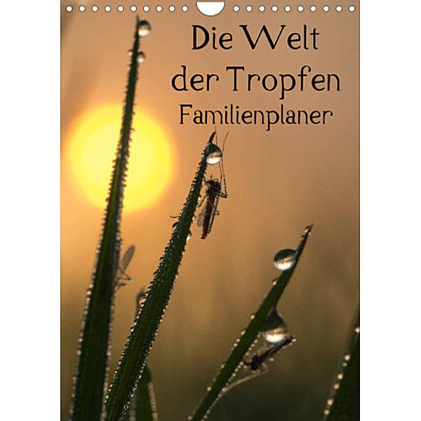 Die Welt der Tropfen / Familienplaner (Wandkalender 2022 DIN A4 hoch), Andrea Potratz