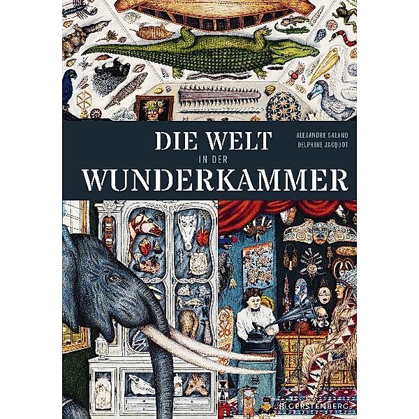 Die Welt in der Wunderkammer, Alexandre Galand