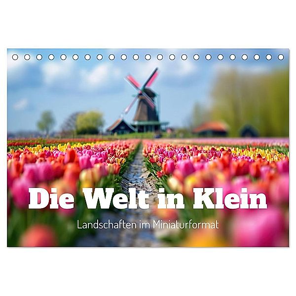 Die Welt in Klein (Tischkalender 2025 DIN A5 quer), CALVENDO Monatskalender, Calvendo, Ally Bee