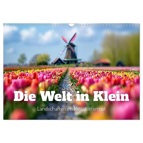 Die Welt in Klein (Wandkalender 2025 DIN A3 quer), CALVENDO Monatskalender, Calvendo, Ally Bee