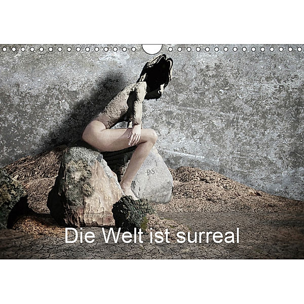 Die Welt ist surreal (Wandkalender 2019 DIN A4 quer), Peter F. Svetitsch