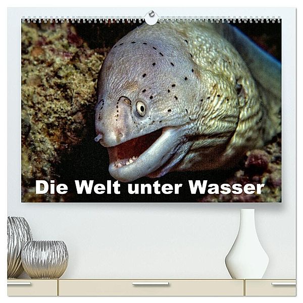 Die Welt unter Wasser (hochwertiger Premium Wandkalender 2025 DIN A2 quer), Kunstdruck in Hochglanz, Calvendo, Dieter Gödecke