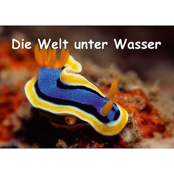 Die Welt unter Wasser (Posterbuch DIN A2 quer), Dieter Gödecke