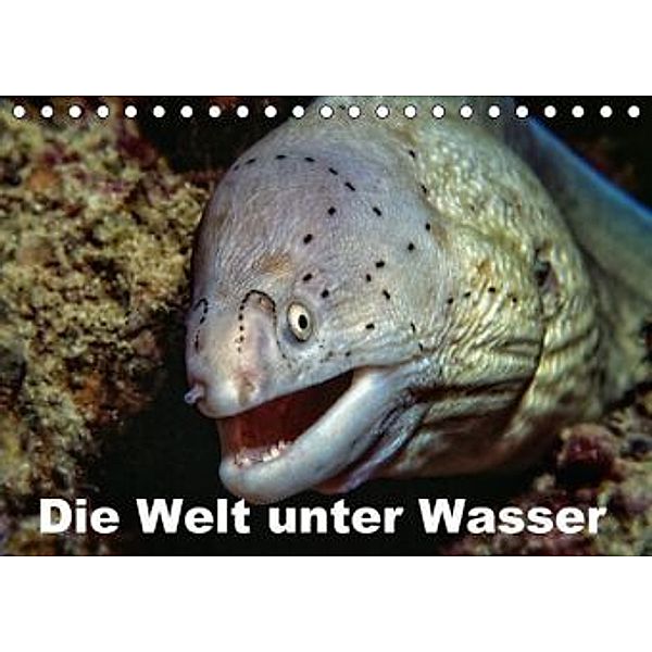 Die Welt unter Wasser (Tischkalender 2015 DIN A5 quer), Dieter Gödecke